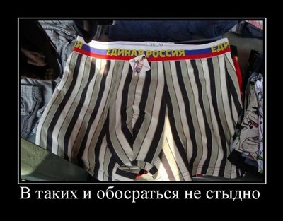 y_17d0541f.jpg