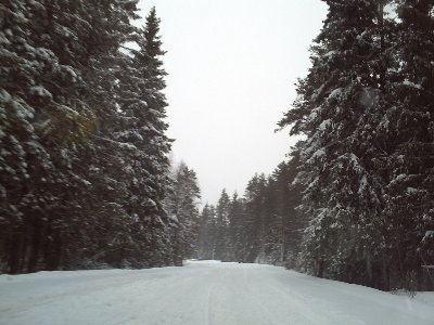 PICT0828.JPG