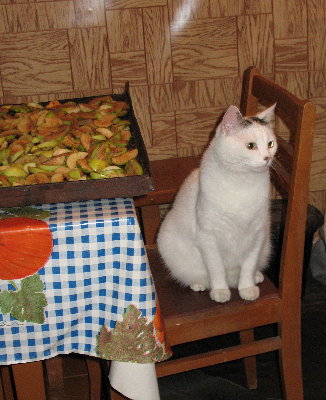 89.jpg