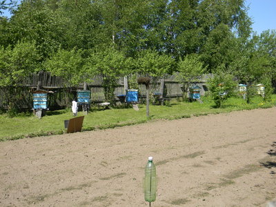 DSCN0727.JPG