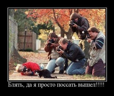 y_2eff7001.jpg