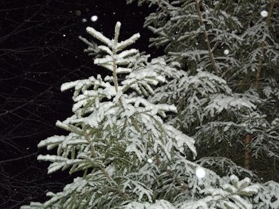 DSCF0990.jpg