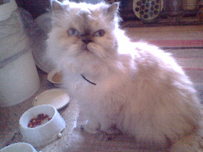 IMG0283A.jpg
