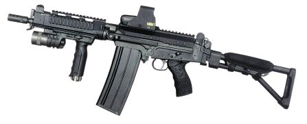 fal_dsa_.jpg