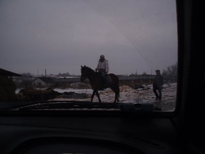 PB022562.JPG