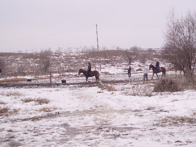 PB022581.JPG