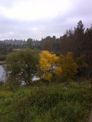 DSC00112.jpg
