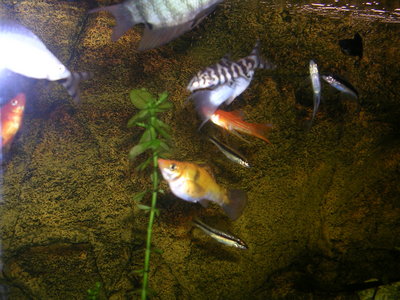DSCN0100.JPG